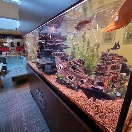 Apartamento 365pam - Prywatny Arka